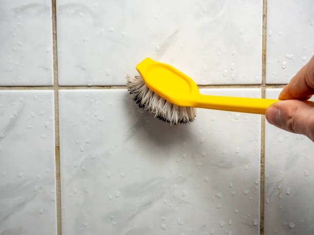 Best Localized Mold Remediation (e.g., coastal areas, humid climates) in Manchester, IA